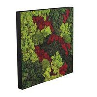 Cadre végétal n 12 Noir - Image principale