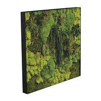 Cadre végétal n 19 Noir - Image principale