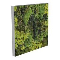 Cadre végétal n 19 Gris - Image principale