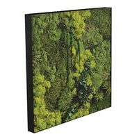 Cadre végétal n 20 Noir - Image principale