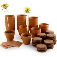 Activité Fête des parents - Image principale