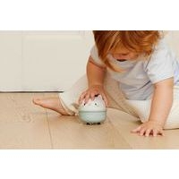 Culbuto et véhicule à friction chat - Image 6