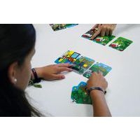 Cause et conséquence - Environnement - Image 6