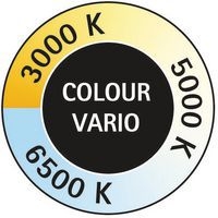 Lampe de bureau LED Pearly Blanc - Image 4