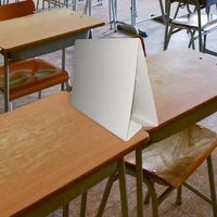 Séparateur de concentration (lot de 15 pièces) - Image 2