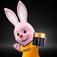 Duracell Plus 100% 4,5V - 1 unité - Image 2