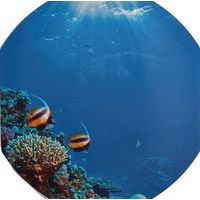 Tapis de jeu - Thème vie sous-marine - Hope Education - Image principale