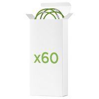 Elastique Phenyx 24x32 vert (lot de 60 pièces) - Image 3