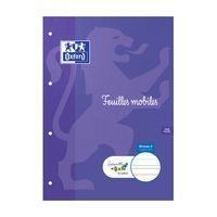 Feuilles mobiles DYS perforées A4 100 pages lignées 5mm - Image principale