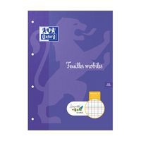 Feuilles mobiles DYS perforées A4 seyes ligné 2mm - Image principale