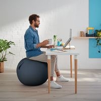 Ballon d'assise Ergo Cosy Active Gris - Image 2