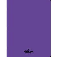 Cahier polypropylène 96 pages seyes 24x32 cm 80g violet - Image principale