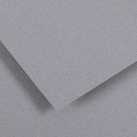 Papier dessin Canson Ingres Vidalon 100g - 50 x 65 - gris ciel - Image principale