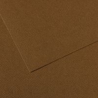 Papier dessin mi-teintes Canson 160 g - 50 x 65 - marron foncé - Image principale
