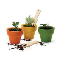 Lot de 3 pots et accessoires du potager - Image principale