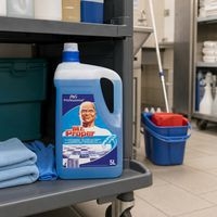 Nettoyant universel Mr. Propre - Bidon 5 L parfum Fraîcheur océane - Image 2
