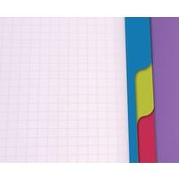 Linicolor Evolutiv'Book 22,5x29,7cm 240p Q.5x5 cadré perfo. 4 trous - Lot de 5 - Image 5