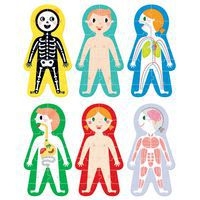 Maxi puzzles corps humain - Image principale