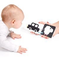 Cartes les contrastes naissance - Image 2