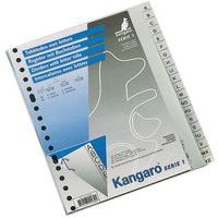 10 Lots d'Intercalaire alphabétique Polypro. Nb de divisions 10 - A5 - Image principale