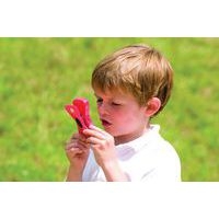 Lot de 6 pinces enregistreuses - Image 3