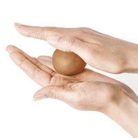 Fimo air light 350g - wood effect - Image 6