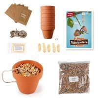 Je fabrique mes pots de graines - Image principale