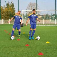 Lot de 20 plots Multi-Marker original avec support de transport - Image 6