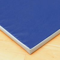 Tapis de gymnastique - GES - houssé 200 x 100 cm - Image 2