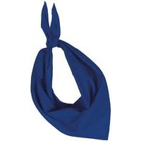 Foulard Eco bleu - Image principale
