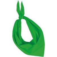 Foulard Eco vert - Image principale