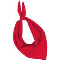 Foulard Eco de couleur - Image principale