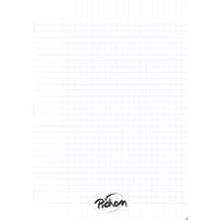 Cahier Polypro 80g 96p seyes 21x29.7 - incolore - Image principale