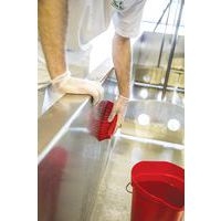 Brosse à main L - Fibre dure - 200 mm - Image 3