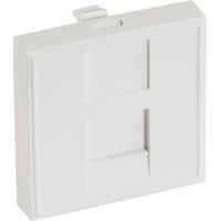 Plastron 45X45 droit pour 1 port RJ45 - Image principale