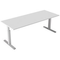 Bureau droit Inesa avec pied réglable en T Blanc 220 cm - Image principale