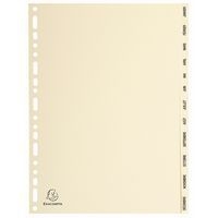 Lot de 10 Intercalaires peau 155g 12 positions janvier-décembre A4 - Image principale