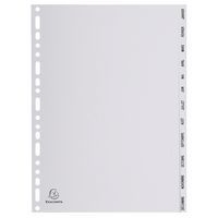 Lot de 10 Intercalaires mensuels pp gris janvier-déc. 12 positions A4 - Image principale