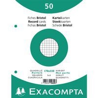 Lot de 24 Paquet 50 fiches sous film quadrillé perforé 170x220mm - Image principale