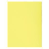 Lot de 5 paquets de 50 chemises 1 rabat super 250 - 24x32cm Canari - Image principale