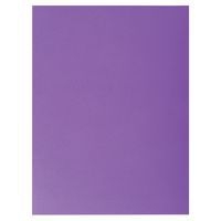 Lot de 10 paquets 25 chemises rock''s 220 double A4  A3 24x32cm Violine - Image principale