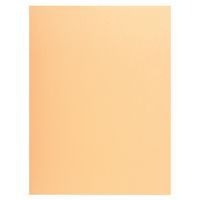 Lot de 5 paquets de 50 chemises 1 rabat super 250 - 24x32cm Bulle - Image principale