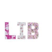 570 - Pochette 20 feuilles Décopatch - Image 2