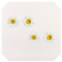 Presse à fleurs et à feuilles - Image 5