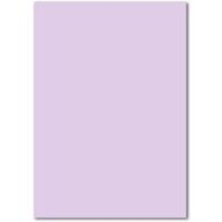 Feuille 120g 50x65 - mauve clair - Image principale