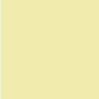 Feuille 240g 50x65 - ivoir - Image principale