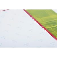 Bind'O Block 22,5x29,7cm 160p Q.5x5 cadré  4 couleurs de bandes perfo4 trous - Image 6