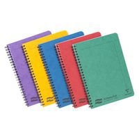 Europa A5 Notemaker reliure intégrale assortiment A 14,8x21cm 120p détachligné - Image principale
