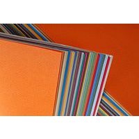 Paquet 50 feuilles Etival Color 160g 50x65cm 2x25 Ass.hors noir & blanc - Image principale