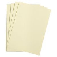 Paquet 24 feuilles Etival Color 160g 50x65 tilleul - Image principale
